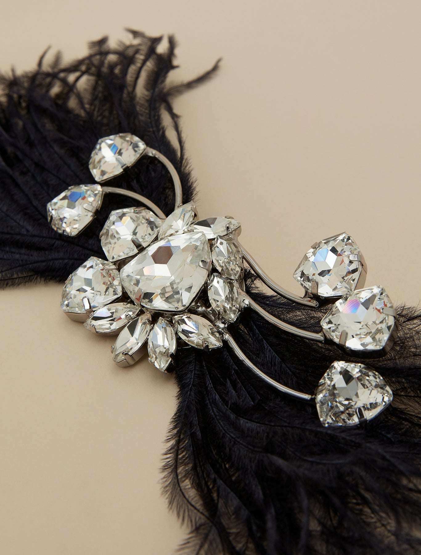 Bejeweled brooch with chatons, feathers, and stones on metal and glass base