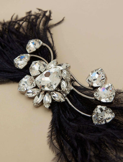 Bejeweled brooch with chatons, feathers, and stones on metal and glass base