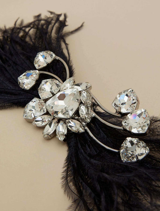 Bejeweled brooch with chatons, feathers, and stones on metal and glass base